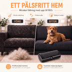 Tassamant